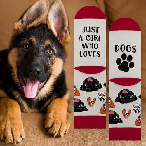 German Shepherd puppy with dog-themed socks.